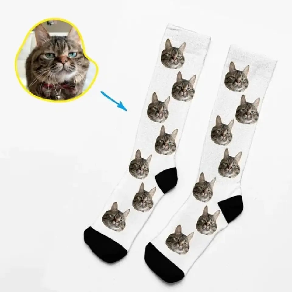 Socks With Beloved Pet