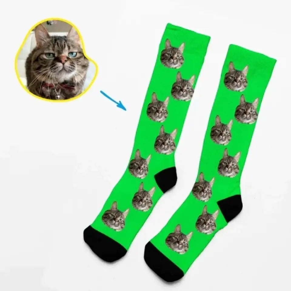 Socks With Beloved Pet