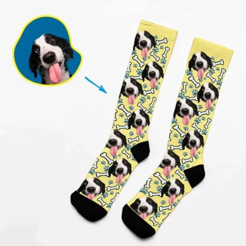 Canine Life - Socks With Your Dog