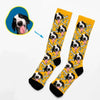 Canine Life - Socks With Your Dog