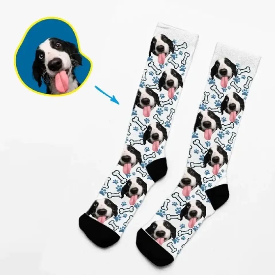 Canine Life - Socks With Your Dog