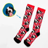 Canine Life - Socks With Your Dog