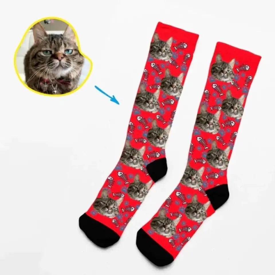 Feline Elegance - Socks With Your Kitten