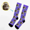 Feline Elegance - Socks With Your Kitten