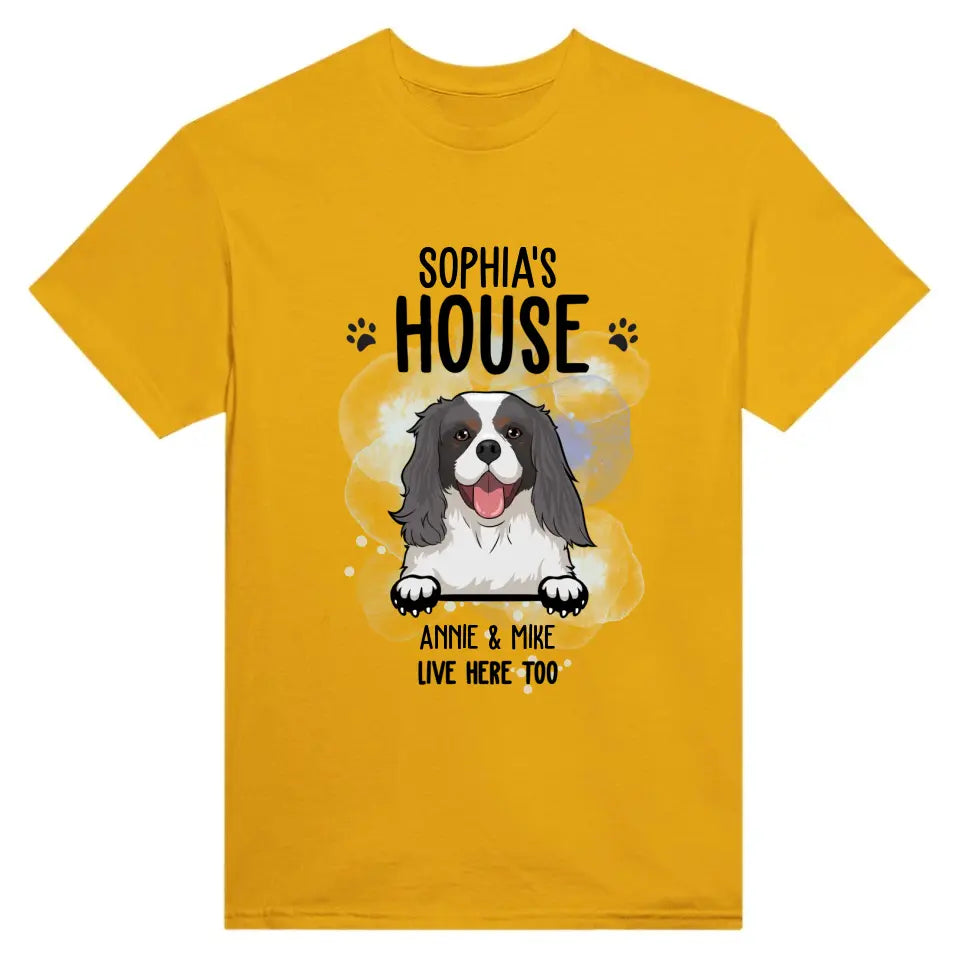 Dog House