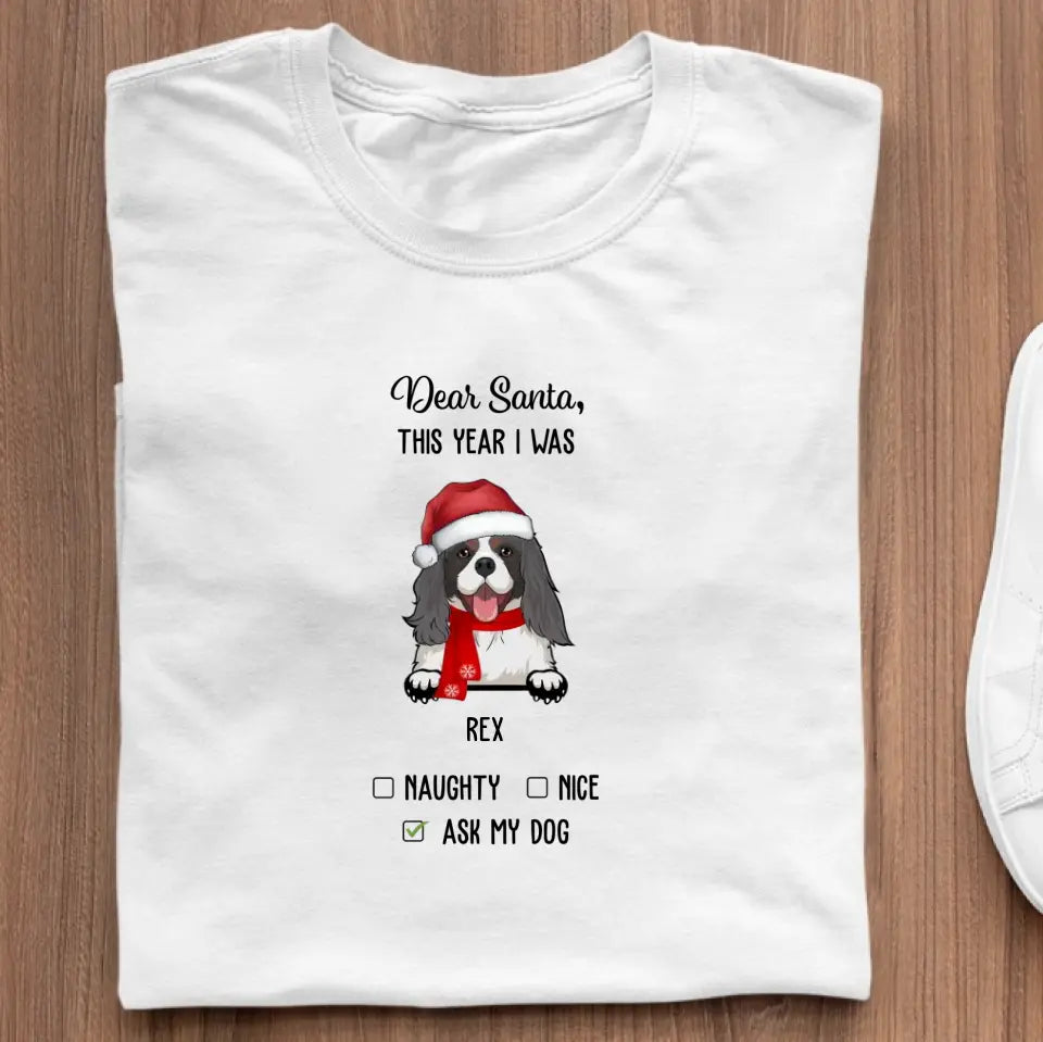 Dear Santa