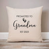 Pillow Case -  Promoted To Grandma