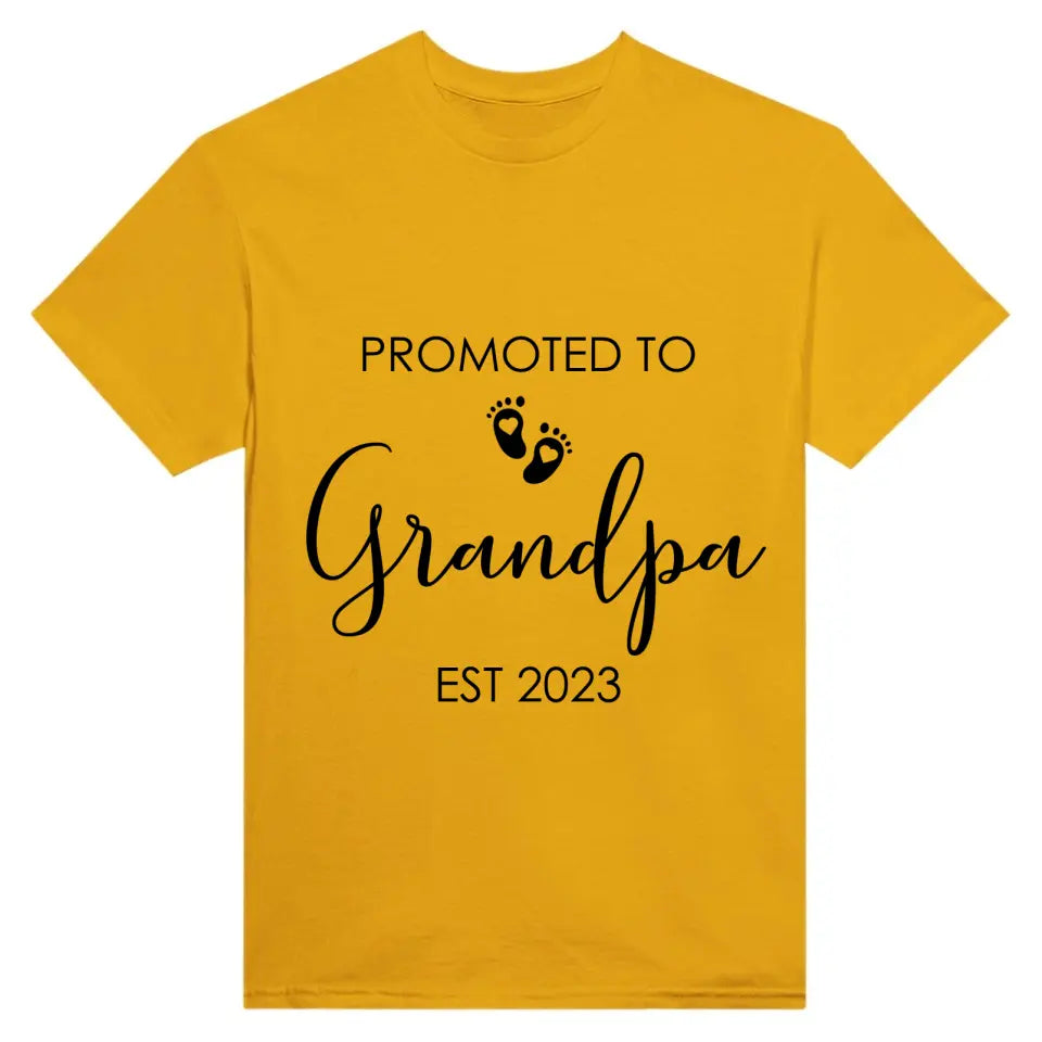 T-Shirt - Promoted To Grandpa