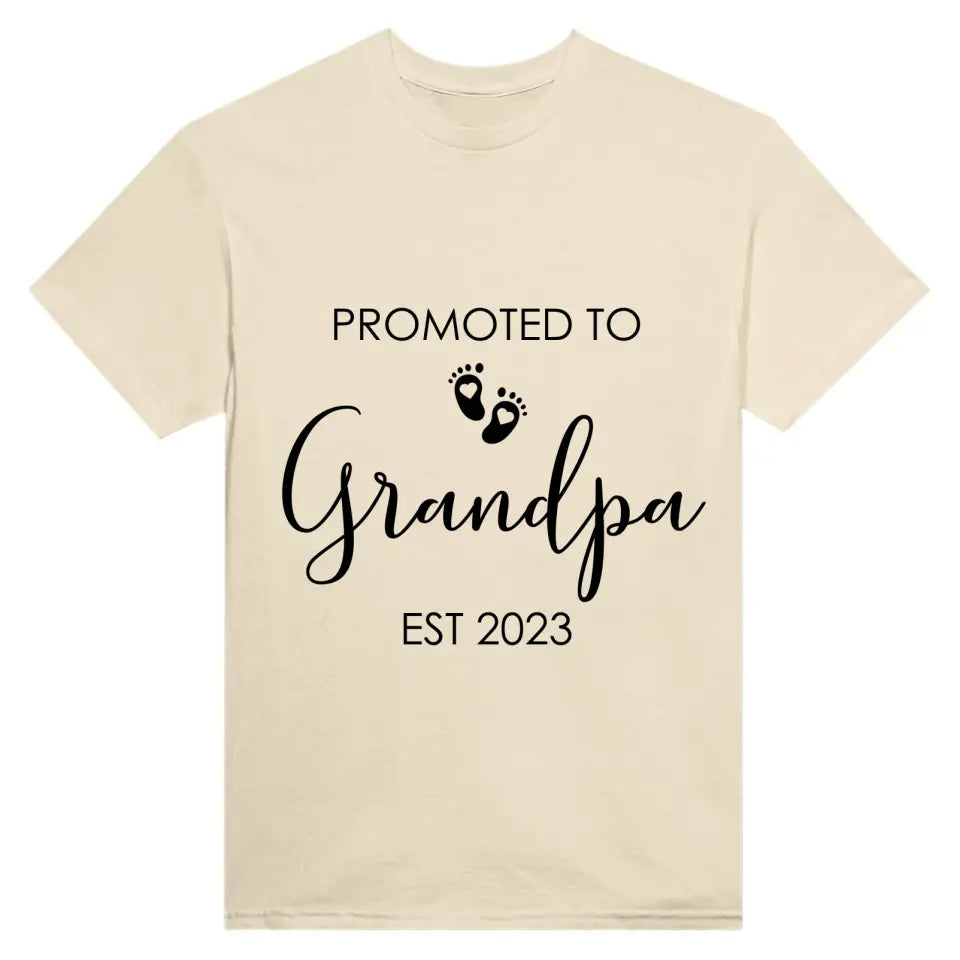 T-Shirt - Promoted To Grandpa