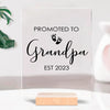 Pillow Case - Promoted To Grandpa