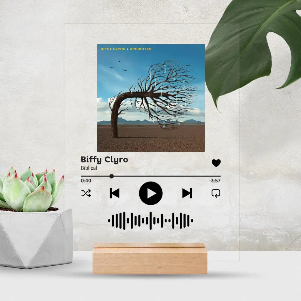 Acrylic Song Plaque - Biffy Clyro (Biblical)